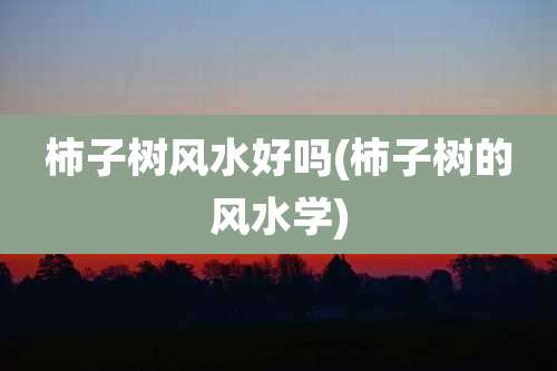 柿子树风水好吗(柿子树的风水学)