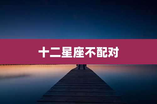 十二星座不配对