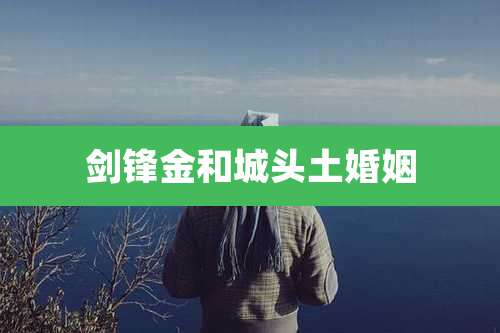 剑锋金和城头土婚姻