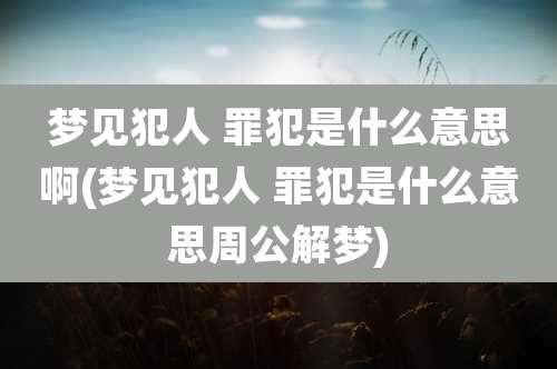 梦见犯人 罪犯是什么意思啊(梦见犯人 罪犯是什么意思周公解梦)