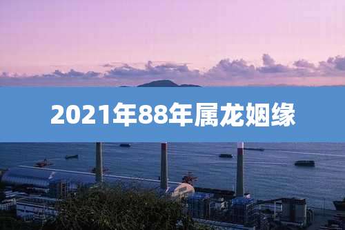 2021年88年属龙姻缘