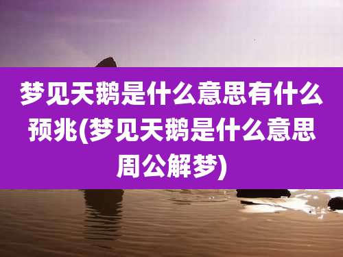 梦见天鹅是什么意思有什么预兆(梦见天鹅是什么意思周公解梦)