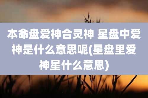 本命盘爱神合灵神 星盘中爱神是什么意思呢(星盘里爱神星什么意思)