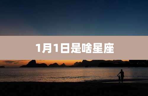 1月1日是啥星座