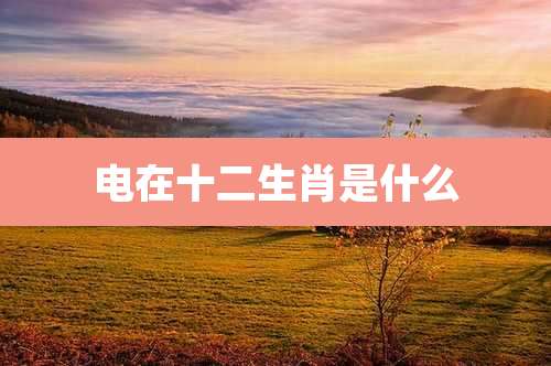 电在十二生肖是什么