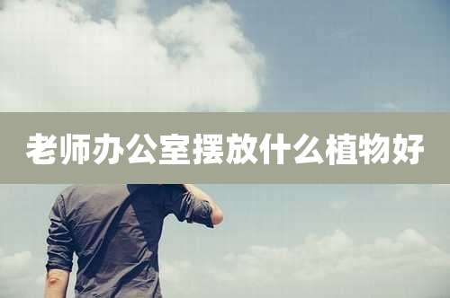 老师办公室摆放什么植物好
