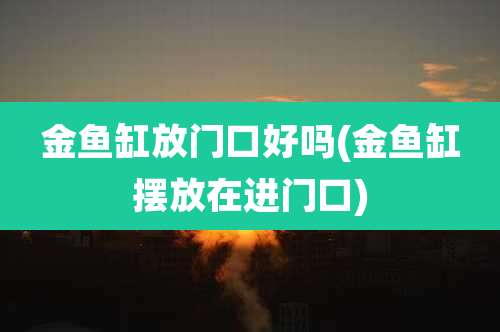 金鱼缸放门口好吗(金鱼缸摆放在进门口)