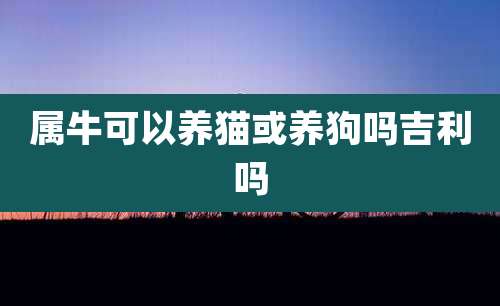 属牛可以养猫或养狗吗吉利吗