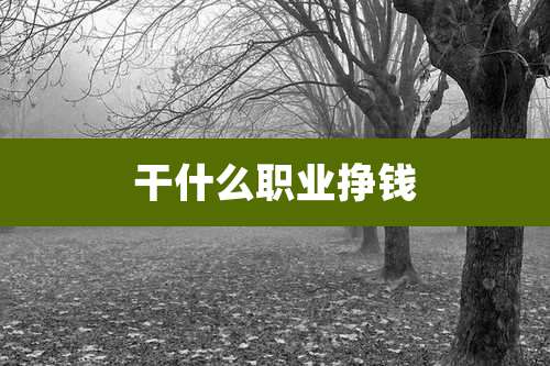 干什么职业挣钱