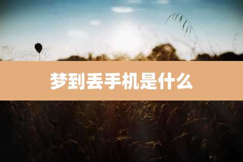 梦到丢手机是什么