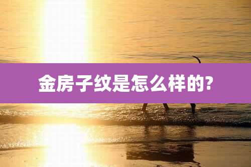 金房子纹是怎么样的?