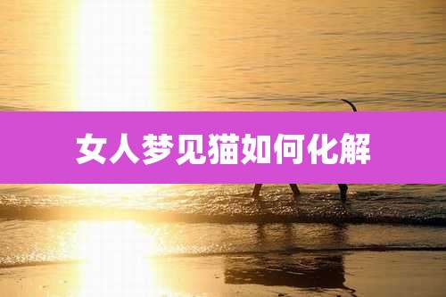 女人梦见猫如何化解