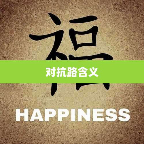 对抗路含义