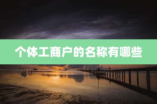 个体工商户的名称有哪些
