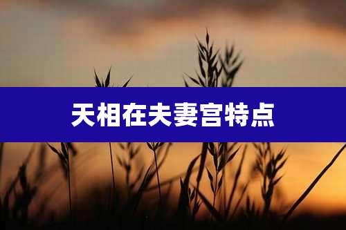 天相在夫妻宫特点