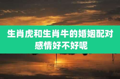 生肖虎和生肖牛的婚姻配对 感情好不好呢