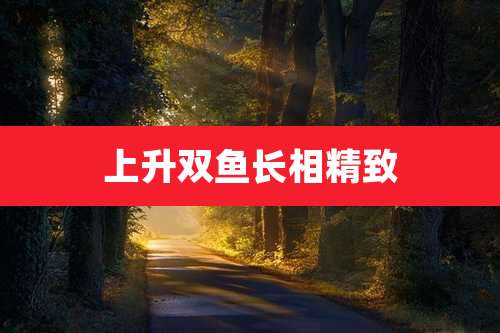 上升双鱼长相精致