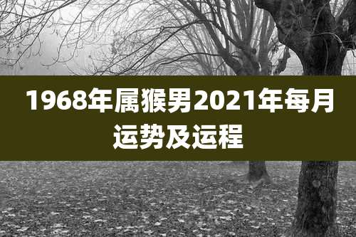 1968年属猴男2021年每月运势及运程