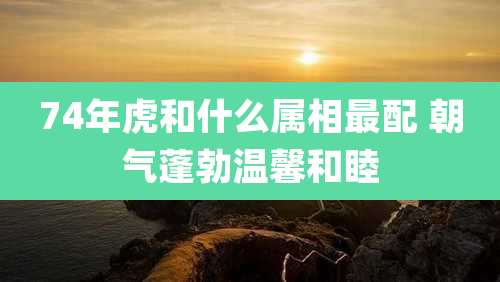 74年虎和什么属相最配 朝气蓬勃温馨和睦