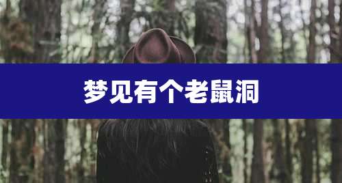 梦见有个老鼠洞