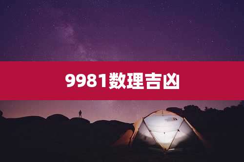 9981数理吉凶