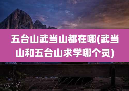五台山武当山都在哪(武当山和五台山求学哪个灵)