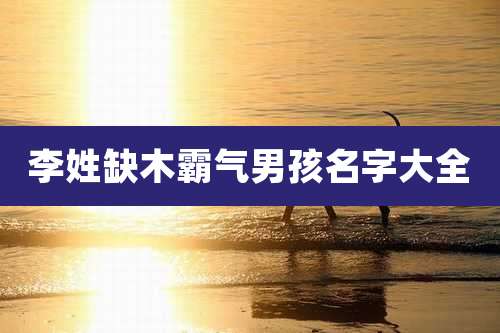 李姓缺木霸气男孩名字大全