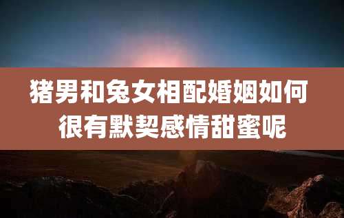 猪男和兔女相配婚姻如何 很有默契感情甜蜜呢