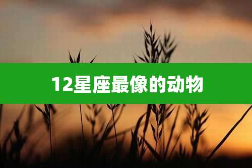 12星座最像的动物