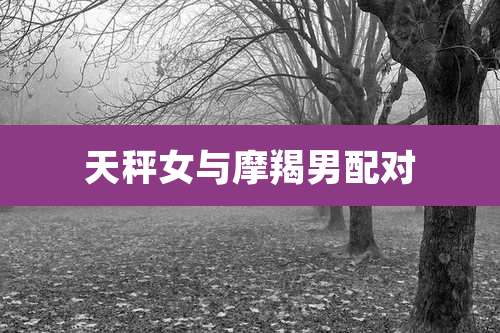 天秤女与摩羯男配对