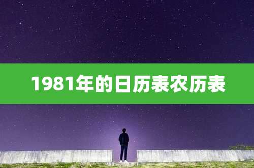 1981年的日历表农历表