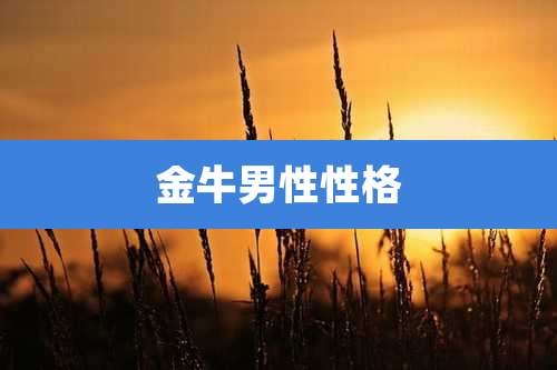金牛男性性格