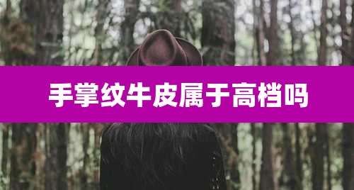 手掌纹牛皮属于高档吗