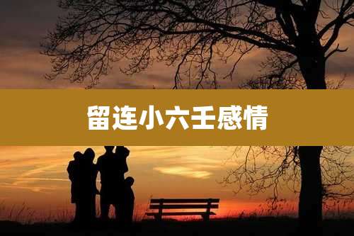 留连小六壬感情
