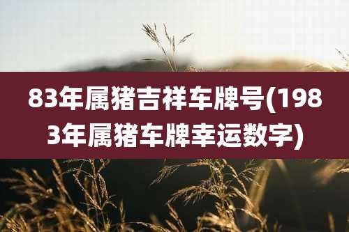 83年属猪吉祥车牌号(1983年属猪车牌幸运数字)