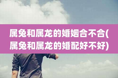 属兔和属龙的婚姻合不合(属兔和属龙的婚配好不好)