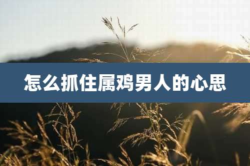 怎么抓住属鸡男人的心思