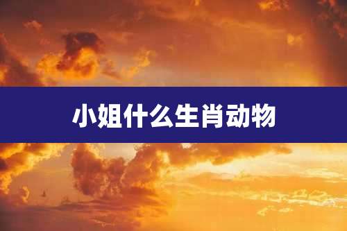 小姐什么生肖动物