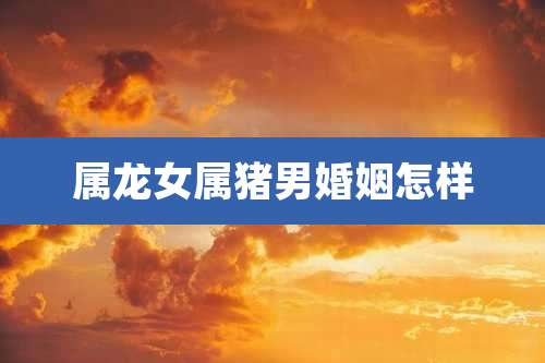 属龙女属猪男婚姻怎样
