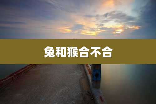 兔和猴合不合