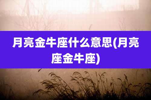 月亮金牛座什么意思(月亮座金牛座)
