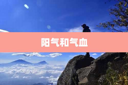 阳气和气血