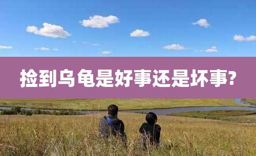 捡到乌龟是好事还是坏事?