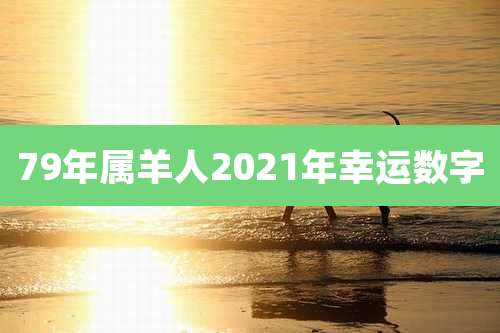 79年属羊人2021年幸运数字