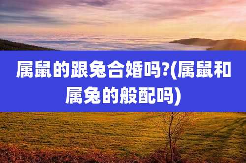 属鼠的跟兔合婚吗?(属鼠和属兔的般配吗)