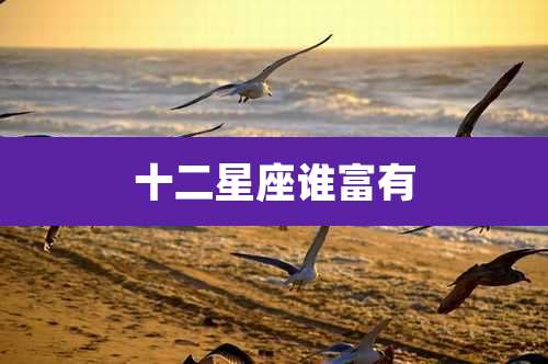 十二星座谁富有