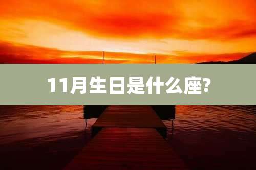 11月生日是什么座?