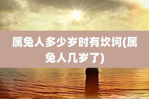属兔人多少岁时有坎坷(属兔人几岁了)