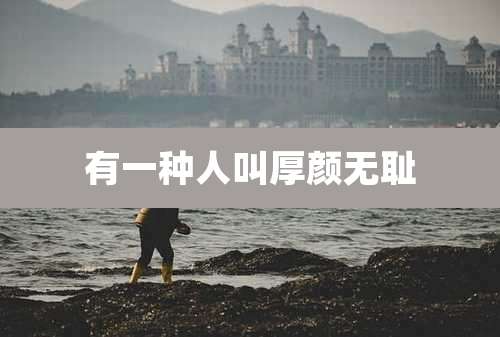 有一种人叫厚颜***