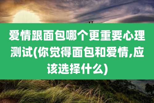 爱情跟面包哪个更重要心理测试(你觉得面包和爱情,应该选择什么)